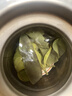 贡苑正宗大叶苦丁茶【锁鲜铁罐】搭特级青山绿水嫩小叶苦丁茶叶250g 实拍图