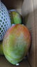 京鲜生攀枝花凯特芒净重8斤 单果400g＋ 新鲜水果 源头直发包邮 实拍图