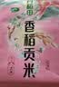 十月稻田 五常大米 5斤（东北大米 五常稻香米 2.5kg/公斤） 实拍图
