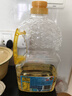 多力葵花籽油1.8L小瓶家用压榨零反式脂肪酸食用油  团购送礼 实拍图