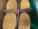 佳沛（zespri）新西兰阳光金奇异果 8个装 特大果单果重约124-146g 水果猕猴桃 实拍图