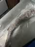 三人港俄罗斯进口鳕鱼2斤 无头明太鱼1000g冷冻去头狭鳕鱼深海海鲜水产 实拍图