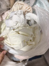 芬腾可安（FENTENGCARE）女士内裤100%全纯棉裆7A抗菌无痕少女新款中腰女生短裤头裤衩YR 实拍图