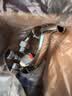 耐发全铜电热水器混水阀明装开关冷热混合阀U型出水龙头淋浴通用配件 合金混水阀套装+五档可调花洒 实拍图