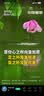 胡庆余堂 炒酸枣仁120g/袋 养心补肝 宁心安神 敛汗生津 道地精选药典精制中药饮片中药材  实拍图