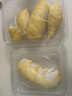 富昌 鱿鱼干300g 海鲜海产品干鱿鱼 煲汤铁板食材 实拍图