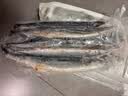 海思芙大大号秋刀鱼净重2斤 9-11条 冷冻 野生生鲜海鲜鱼类整条 烤鱼 实拍图