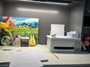 爱普生（EPSON）【6代新品】L3351墨仓式彩色打印机 微信打印/无线连接 家用AI学习打印机（打印、复印、扫描） 实拍图