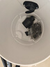 亿力吸尘器家用手持轻量超强大吸力 桌面床上地毯沙发干湿两用吹吸一体 小型除尘吸猫毛神器小白桶12L 实拍图