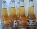 科罗娜（CORONA）特级啤酒330ml*12瓶啤酒整箱装经典拉格京东自营 实拍图