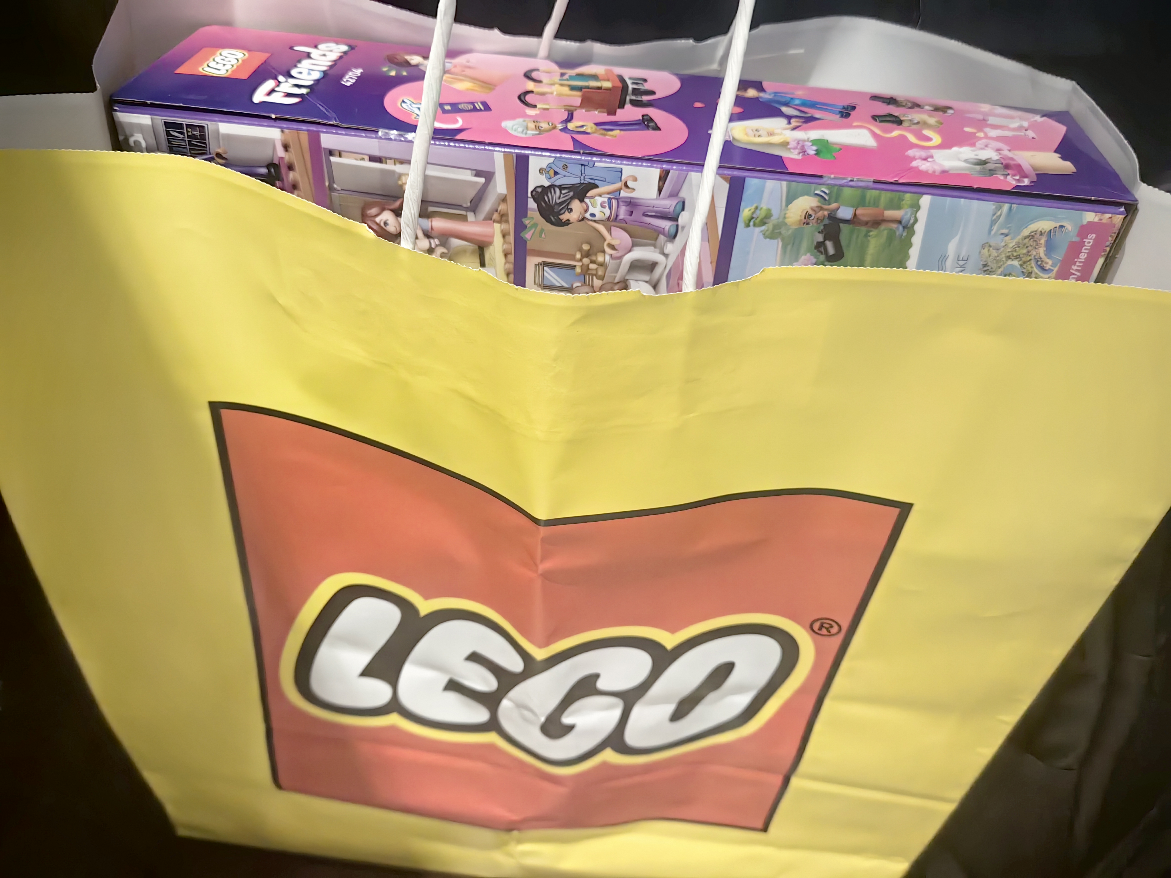 乐高（LEGO）积木好朋友42704 心湖城度假大酒店男女孩儿童玩具生日礼物赠礼袋 实拍图