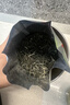 乐品乐茶毛尖茶叶特级明前春茶嫩芽2026新茶礼盒装250g冷泡茶绿茶自己喝 实拍图