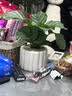 花翁北欧海芋盆栽办公室内桌面绿植花卉 青苹果竹芋+斜口瓷盆源头直发 实拍图