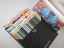 辉柏嘉（Faber-castell）水溶性彩铅笔48色彩色铅笔笔帘套装手绘专业画笔48色水溶彩色铅笔+50孔笔帘速写马克笔绘画画画笔 实拍图