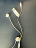JBL TUNE 305C 有线耳机 Type-C接口 半入耳式耳机 电脑耳机 适用于USB-C 出游搭子 礼物耳机 白色 实拍图