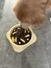 麦富迪狗粮 无谷牛肉双拼狗粮成犬中大型犬专用强健骨骼15kg/30斤 实拍图