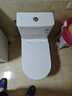 箭牌（ARROW）T76抽水马桶虹吸坐便器普通座便坐厕大冲力节水AEB12631M 305坑距 实拍图
