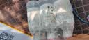 农夫山泉 长白山饮用水 饮用天然矿泉水 整箱装 运动盖 400ml*6瓶 实拍图