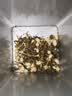 张一元茶叶特种浓香型茉莉花茶精选八窨茉莉毛尖200g金桶罐装中华老字号 【升级版】尚品金桶 实拍图