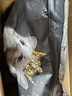 亿迪猫粮冻干幼猫成猫10斤全价英短蓝猫布偶老年猫国产通用全阶段5kg 实拍图