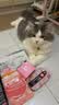 领先成猫尝鲜礼包主食级烘焙猫粮猫条餐盒汤包（新老款随机发货） 实拍图
