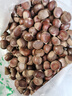 【26年新下树】云南新鲜板栗头茬果种植户直供非油栗可生吃 云南板栗头茬果 3斤 实拍图