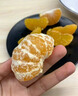 京觅江西寻乌蜜桔4.5斤净重单果55mm+橘子当季青皮青桔蜜水果源头直发 实拍图