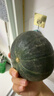 京鲜生 山东贝贝南瓜净3斤(粉糯瓜)中果300+蔬菜辅食板栗味源头直发 实拍图