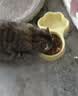 蓓恩 猫粮成猫幼猫全价主粮装英短全阶段天然粮10斤装 实拍图