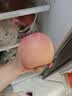 佳农烟台红富士苹果 净重10斤大果 果径80-85mm 水果礼盒 源头直发 实拍图