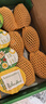 佳沛（zespri）新西兰 阳光金奇异果12粒特大果单果124-146g 猕猴桃水果礼盒 实拍图