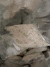 天堂牌桂花莲子西湖藕粉 杭州特产速溶桂花莲子藕粉代餐粉570g袋装 实拍图