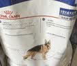 皇家狗粮 成犬狗粮 犬粮 宠物大型犬 GR26全价犬粮≥15月15KG 实拍图