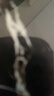 车丽友 定制全包围汽车脚垫后备箱垫单片适用于君威昂科威卡罗拉凯美瑞 实拍图