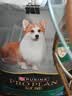 冠能狗粮体重控制绝育犬成犬狗粮全价2.5kg 高蛋白低脂肪健康减轻体重 实拍图