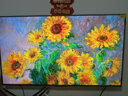 TCL艺术壁纸电视 55T6M 55英寸 3.99cm平板薄 轻盈家居美学 QD-Mini LED 全通道288Hz 电视2026新款 实拍图