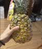 佳农菲律宾进口菠萝2个装 凤梨 单果净重2斤 生鲜水果 七夕情人节礼物 实拍图