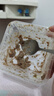 盒装罐罐子动物奶油蛋糕儿童健康零食减脂食品节日礼物 草莓＋抹茶＋巧克力【180g*3盒】 实拍图