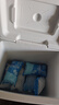 京东京造车载户外保温箱露营野餐冷藏箱保冷保鲜箱外卖钓鱼箱送冰袋13L 实拍图