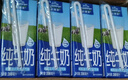 欧德堡（Oldenburger）3.5g蛋白 0脂肪脱脂纯牛奶200ml*24盒 家庭用奶 轻断食零负担 实拍图
