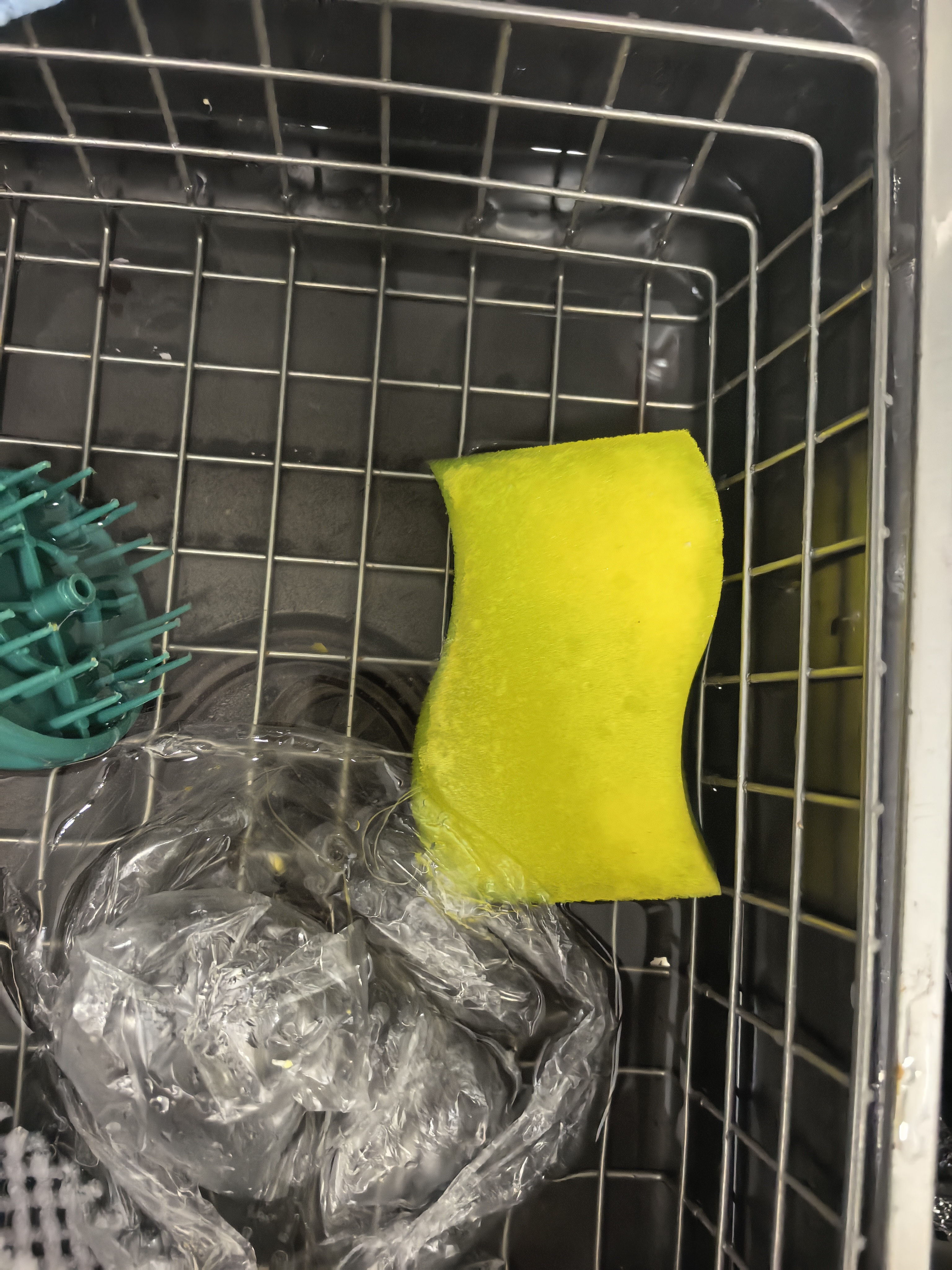 3M思高洗碗海绵 5片装 抗菌净味海绵百洁布洗碗布抹布 实拍图