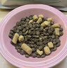 LEGENDSANDY蓝氏全价猫粮生鲜高能系列成猫幼猫 试用 试吃 猎鸟乳鸽 50g*5 实拍图