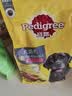 宝路狗粮老年犬狗粮 牛肉味1.8kg全犬种通用老年犬狗粮全价粮  实拍图