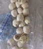 十月稻田 莲子 250g 半斤 湘潭产去芯磨皮白莲子 桂圆百合银耳羹煲汤食材  实拍图