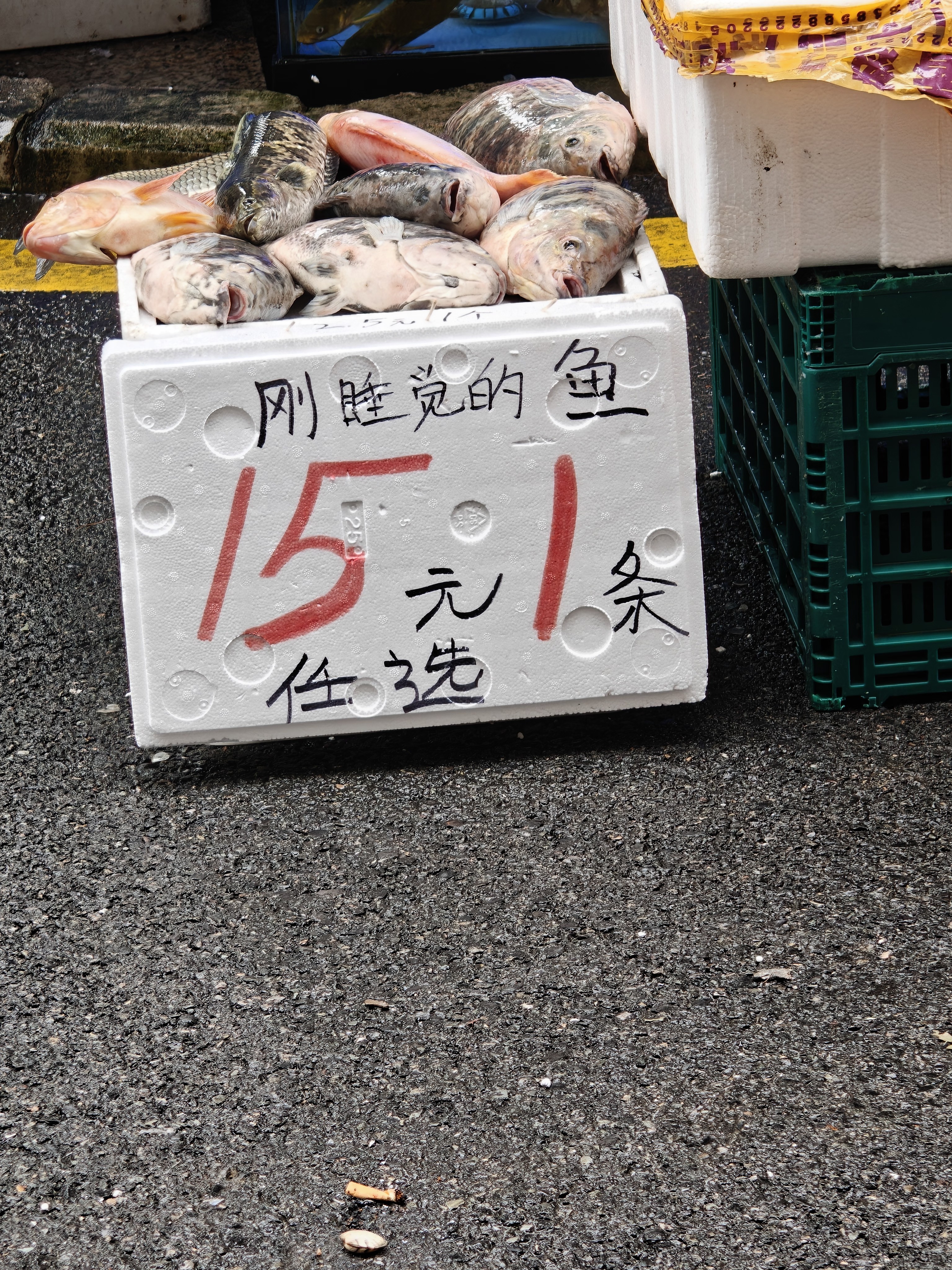 ZIME紫米20000毫安时充电宝55W自带双线新升级机甲外观适用苹果18安卓充电宝 55W20000毫安常规款灰Z1 实拍图