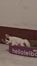 名创优品（MINISO）混合猫砂香味木薯豆腐猫砂强效除臭无尘京东自营送货上门4斤*1包 实拍图