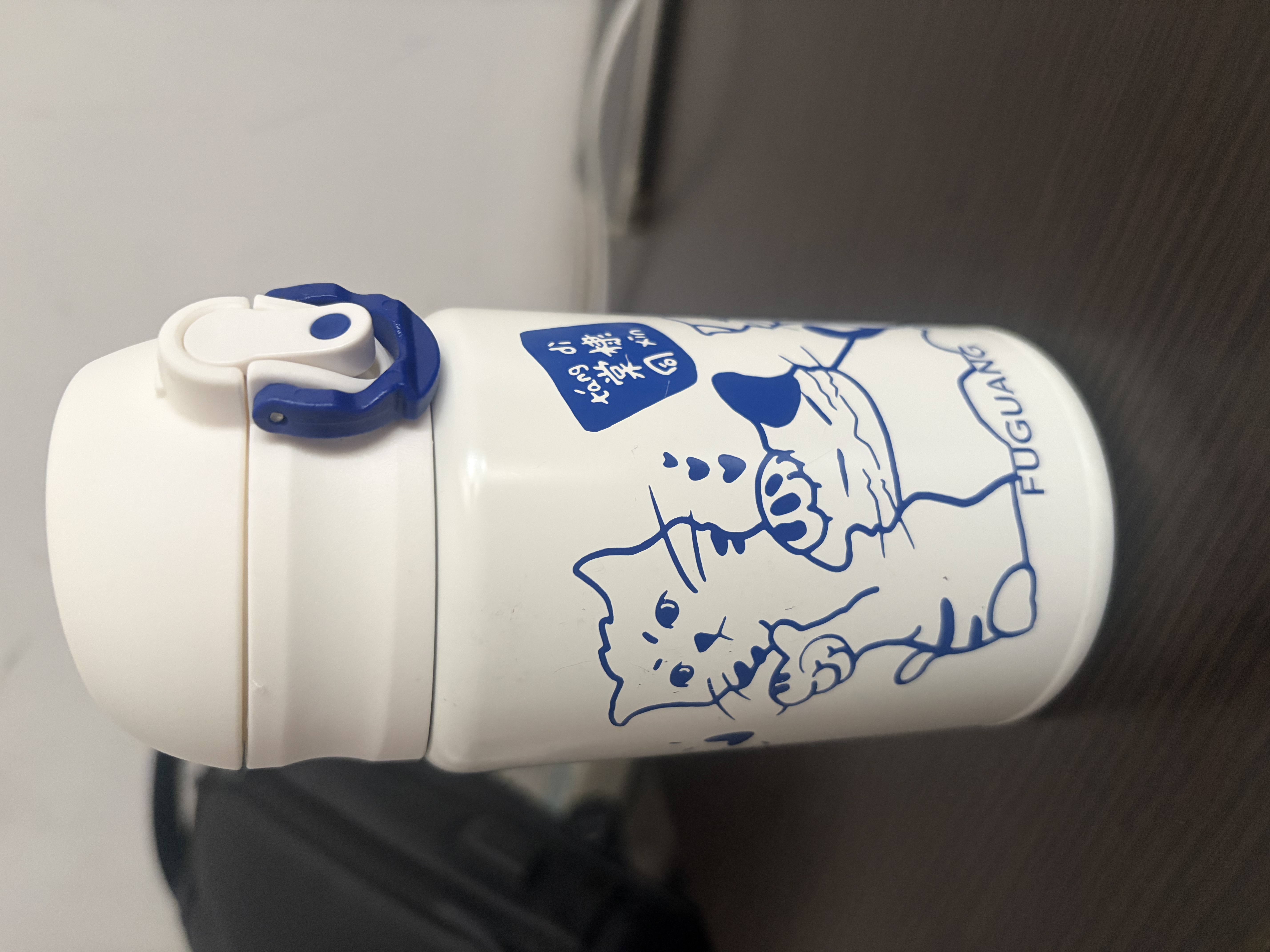 富光儿童保温杯316L不锈钢男女杯子小学生水杯高颜值便携弹跳盖水杯 棠棣同馨316内胆300ml 实拍图