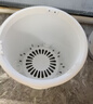 史丹利花盆家用树脂塑料盆栽加厚多肉月季阳台庭院加仑盆象牙白高164mm 实拍图