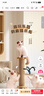 HELLOJOY猫抓柱剑麻猫抓板猫玩具耐抓耐磨不掉屑猫爬架立式自嗨解闷用品 实拍图