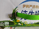 伊利【新鲜日期】纯牛奶苗条装 200ml*24盒优质乳蛋白 礼盒装 6月产 实拍图